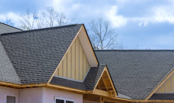 Best Green or Eco-Friendly Roofing Solutions  in USA